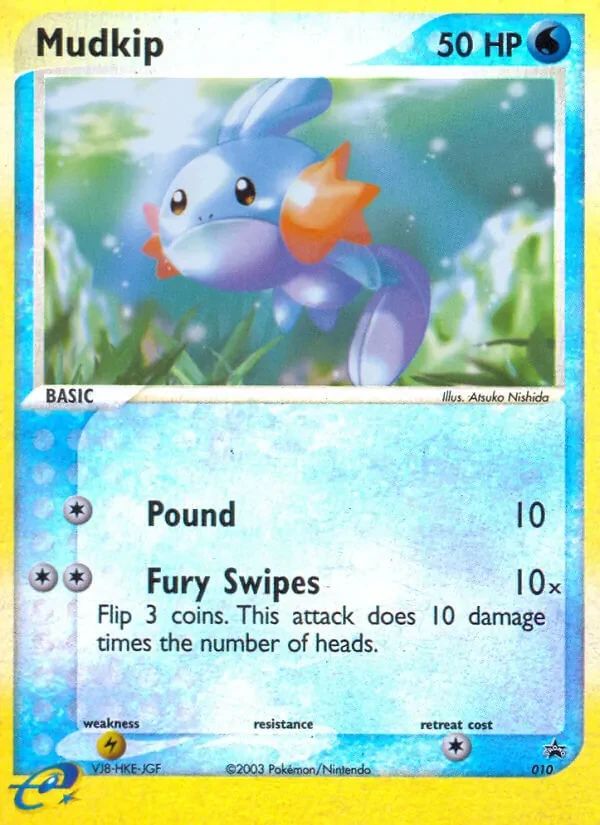 Mudkip 10
